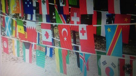 European nations flag garland