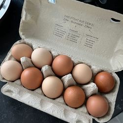Organic fresh cage free eggs