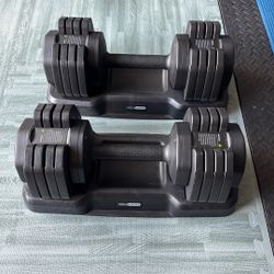 Adjustable Weight Set 