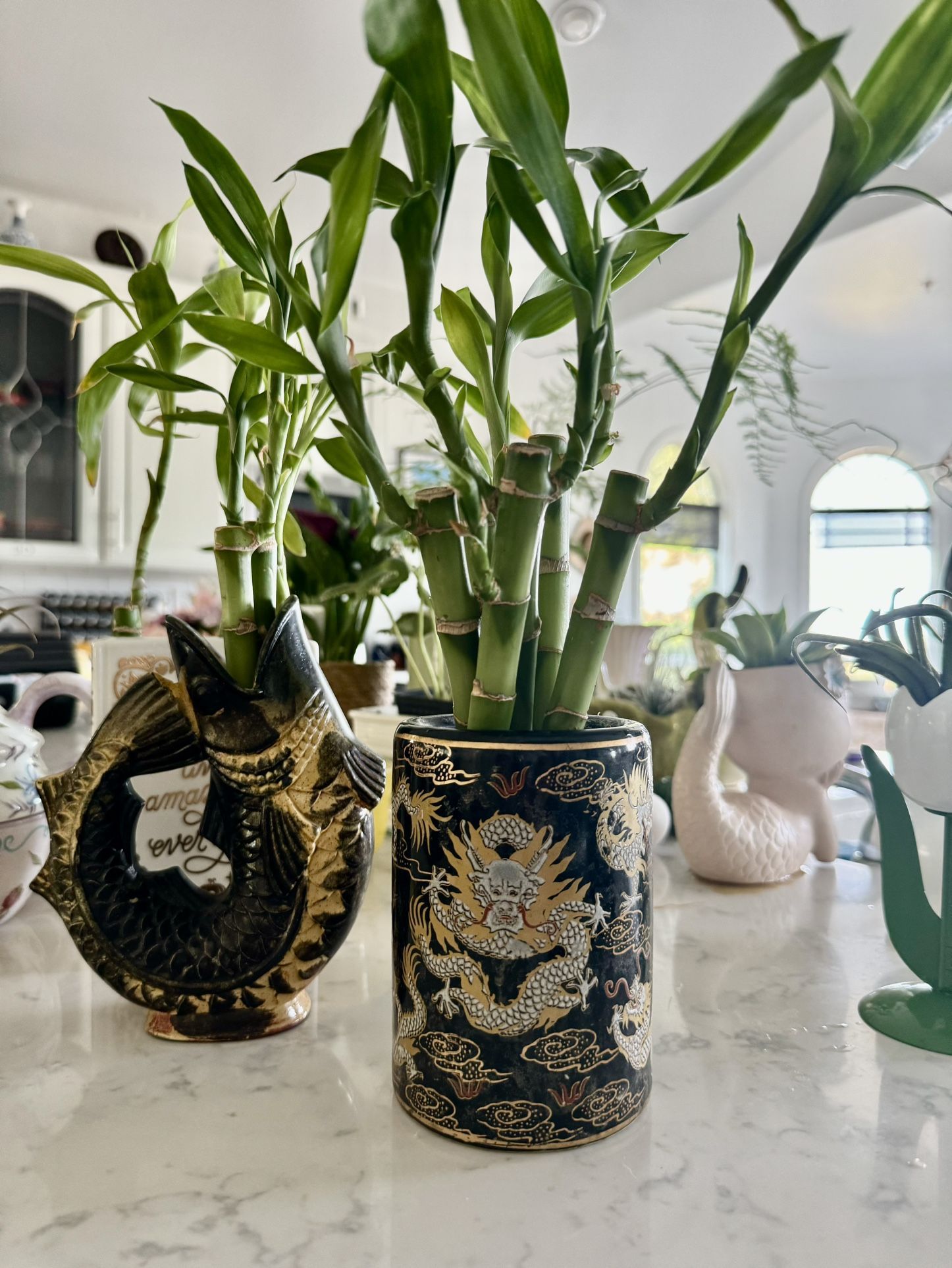 π βοΈ Vintage π₯ : Lucky Live Bamboo Plants in Dragon /Fish Planter π π π