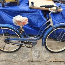 Schwinn Blue Wasp