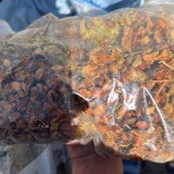 bag of piñons with fresh green pinecone & tree resin