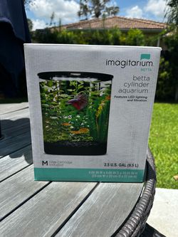 Complete Betta Fish Starter Kit - Tank + Supplies
