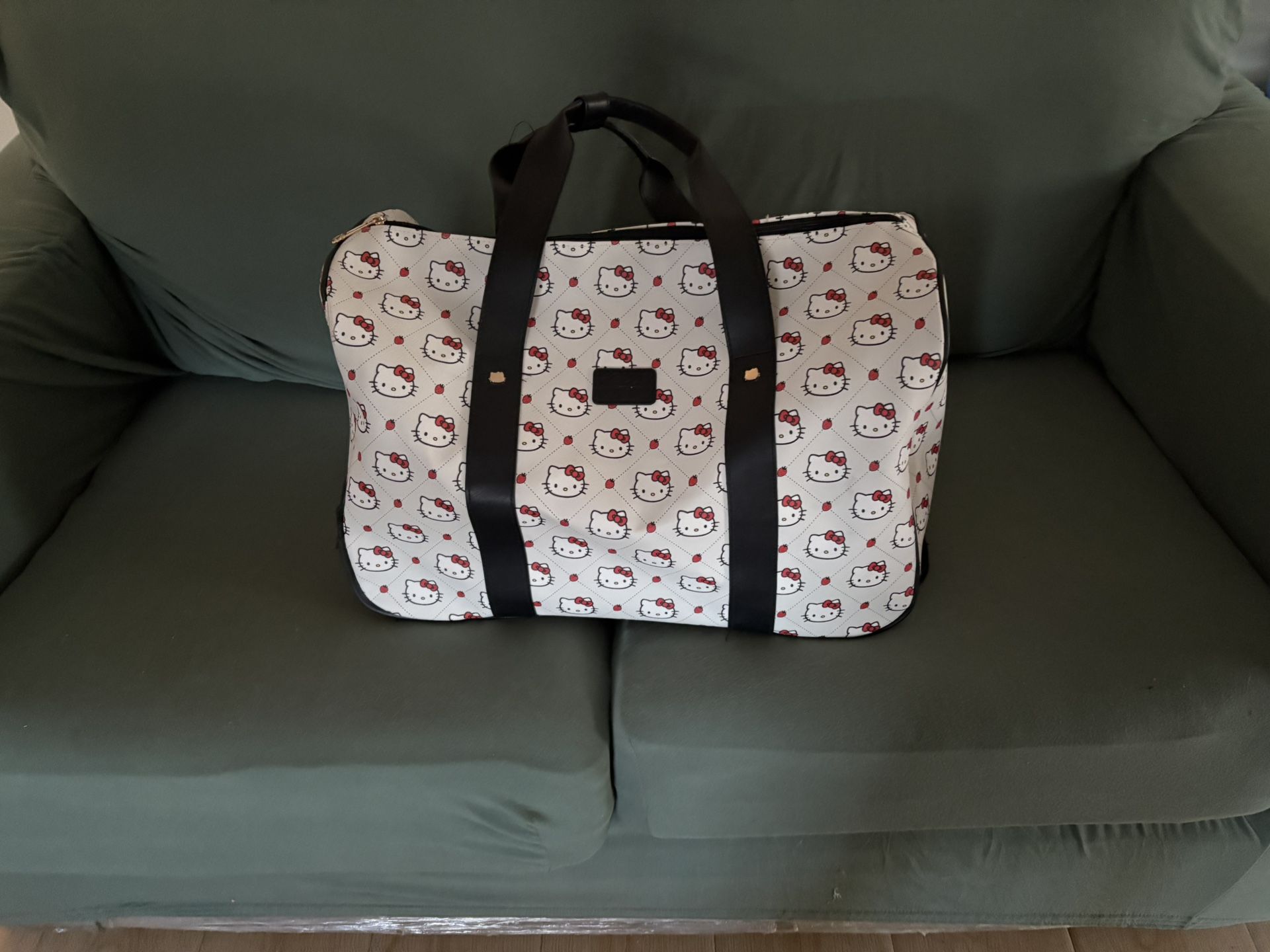 Hello kitty Luggage 