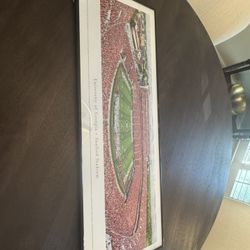 UGA Stadium Panorama Photo
