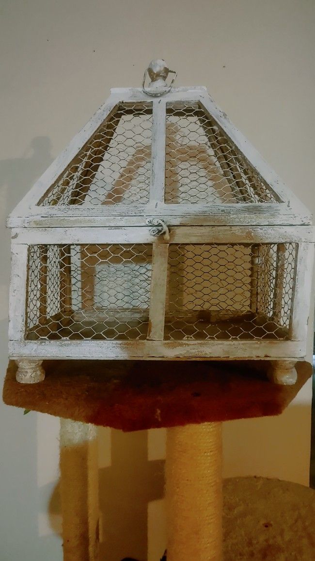 Bird Cage