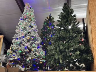 Christmas trees
