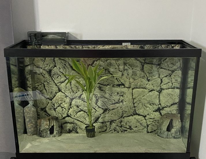 20 Gallon (Tall) Fish Tank