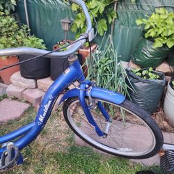 Old Schwinn Meridian