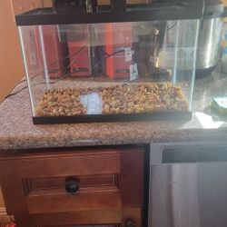 7 Gallon Fish Tank! 