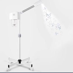 Facial Steamer