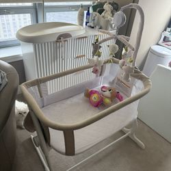 Bassinet and Dipper Changing Pad 