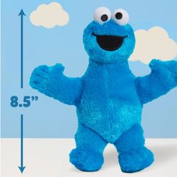 Plush cookie monster
