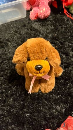 Little dog stuff animal