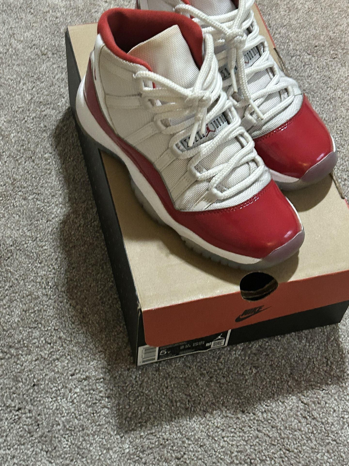 Air Jordan 11s