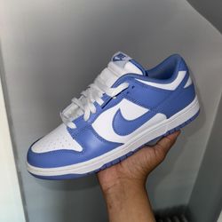 Nike Dunks Polar 