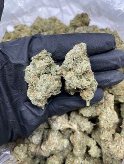 Bud