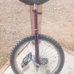 Unicycle