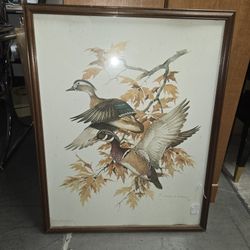 Duck Framed Art
