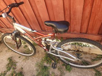 Next shimana brand bike..