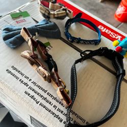 Dog Collars 