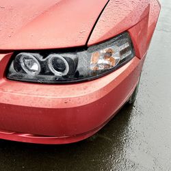 1(contact info removed) Mustang Halo Headlights 