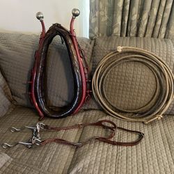 Horse Collar Set Up 