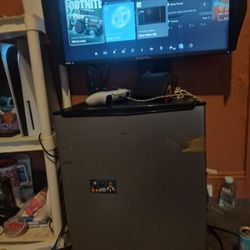 Mini fridge 