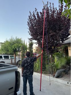 Corona telescoping tree pruner  and cutting