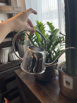 Silver Watering Can