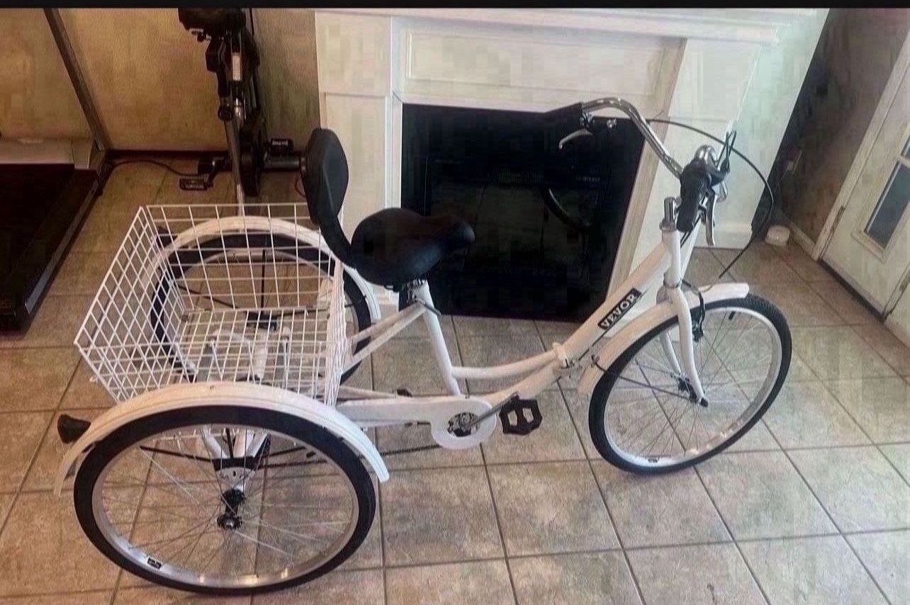 Adult Tricycle