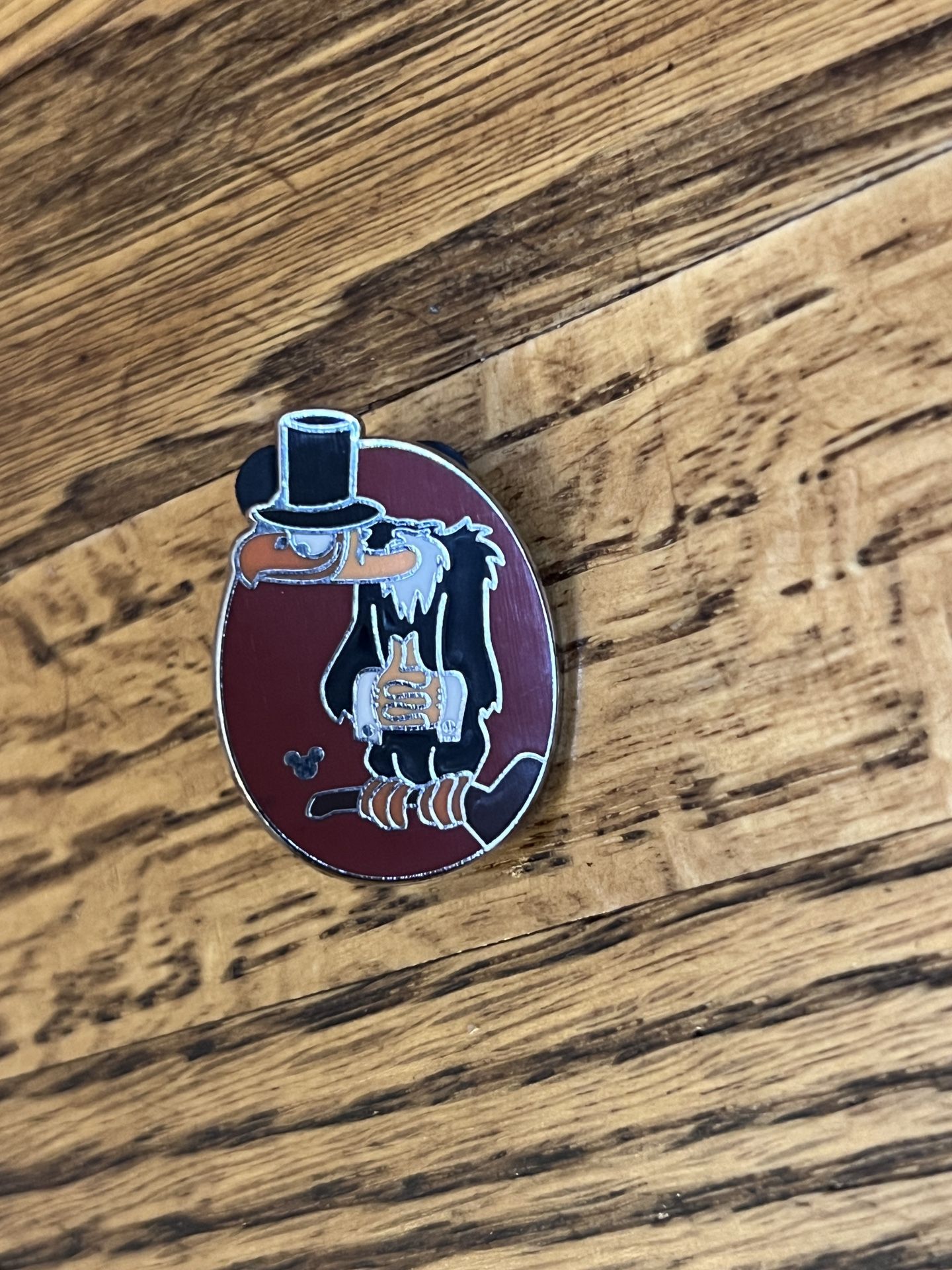 Disney Splash Mountain Vulture Hidden Mickey Collectible Pin