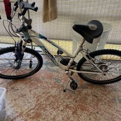 Bicicleta 24
