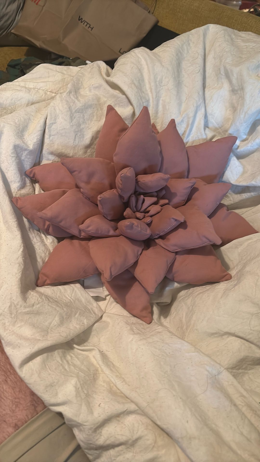 Handmade Decorative Succulent Pillow