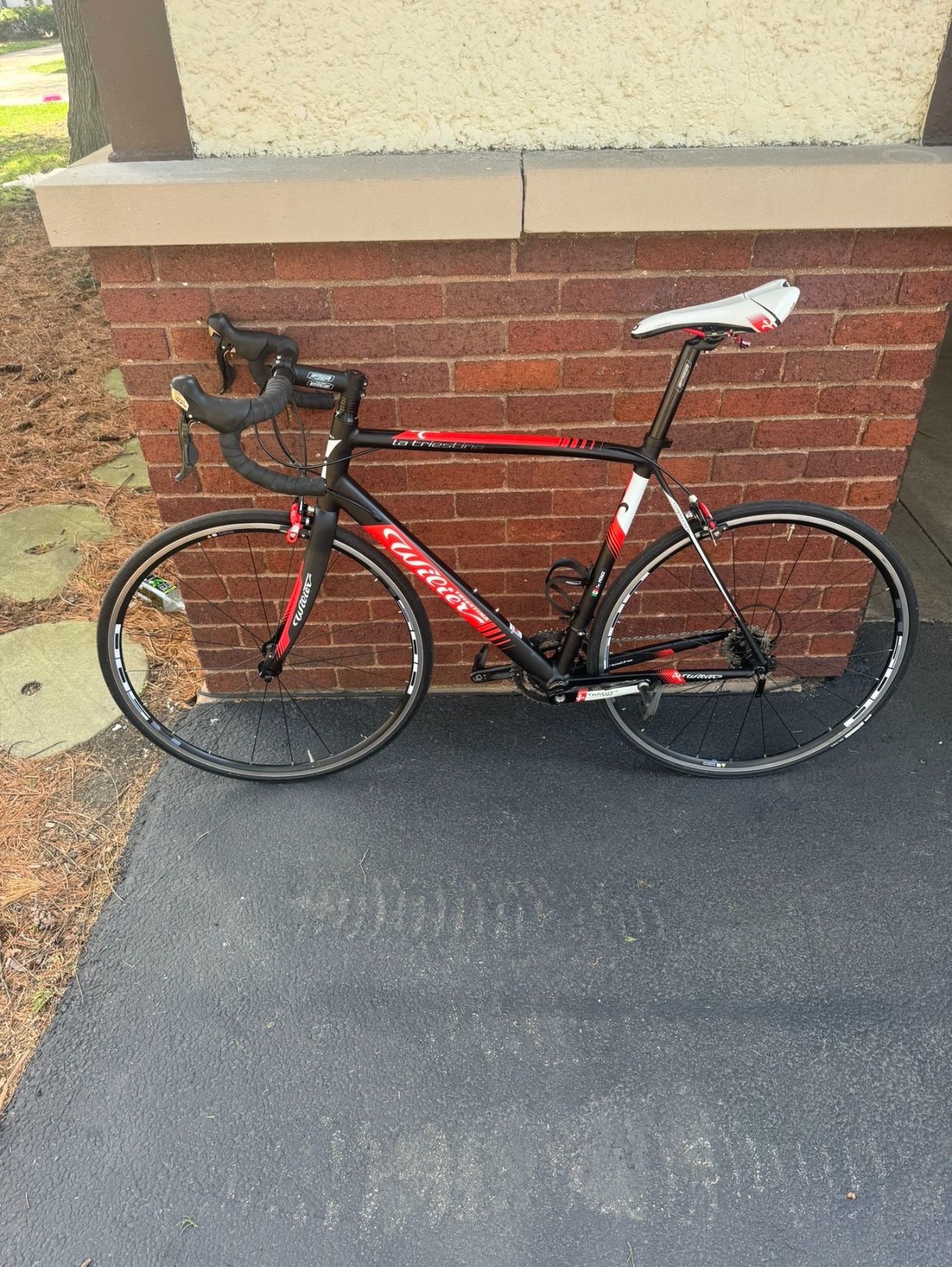 Wilier triestina bikes for sale hotsell