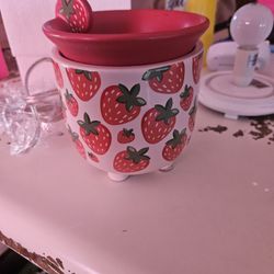 Pink Zebra Warming Pot