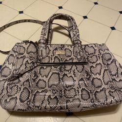 Cole Haan Snake Skin Leather Purse Brand New 