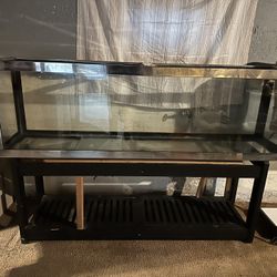 Paradise 95 Gallon Fish Tank