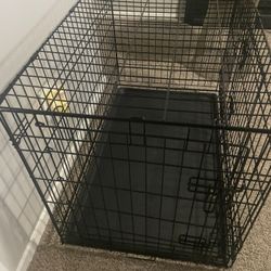 Foldable Dog Crate With Divider 