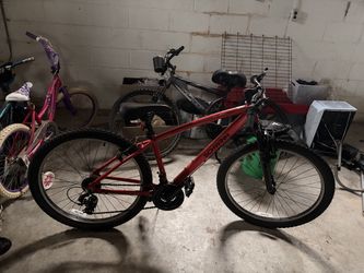 Mountain bike
