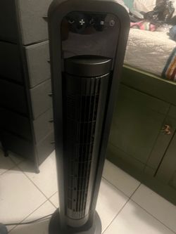 Fan