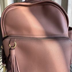 Skip Hop Diaper Bag