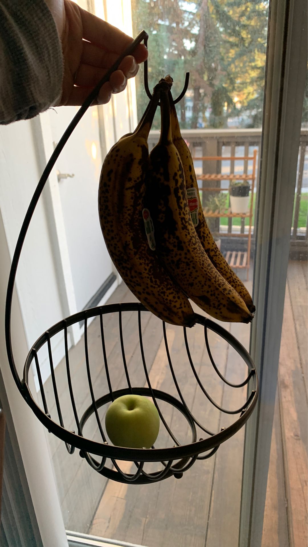 FREE Fruit stand basket