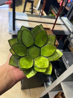 Lily pad decor