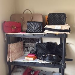 Designer/luxury bags 