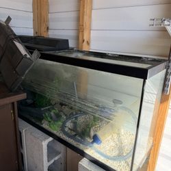 Aquarium With Stand 