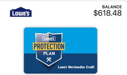 lowes birthday present idea!