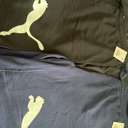 Puma Victory Sweat Shorts