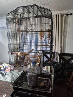 BIRD CAGE