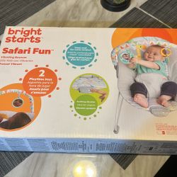 Baby Bouncer